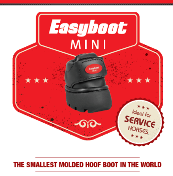 Mini Boot logo|Mini boot logo