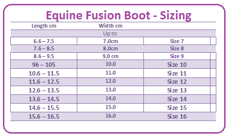 Equine Fusion sizing
